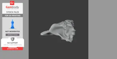 Baru (fossil crocodilian) Skull - Skull Replica STL