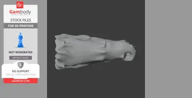 Baru (fossil crocodilian) Skull - Skull Replica STL