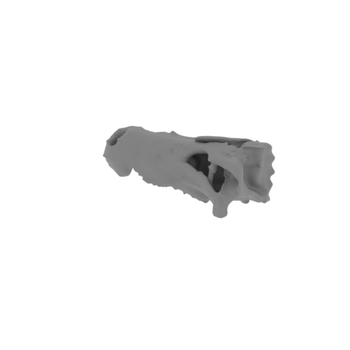 Baru (fossil crocodilian) Skull.stl