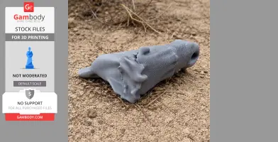 Baru (fossil crocodilian) Skull - Skull Replica STL