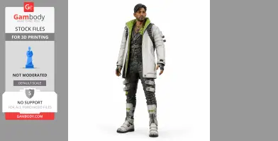 Ajay Che - Apex Legends Figurine - Character Figure STL
