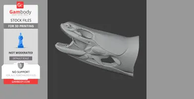 Bichir (Ornate) Skull - Skull Replica STL