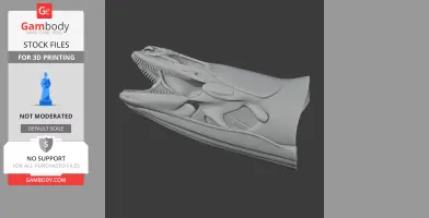 Bichir (Ornate) Skull - Skull Replica STL