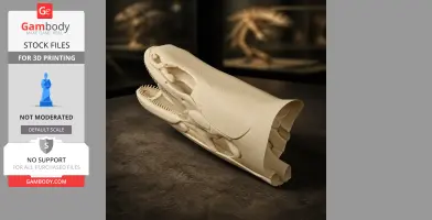 Bichir (Ornate) Skull - Skull Replica STL