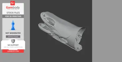 Bichir (Ornate) Skull - Skull Replica STL