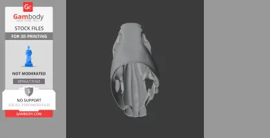 Bichir (Ornate) Skull - Skull Replica STL