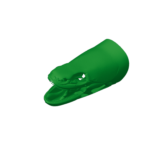Bichir (Ornate) Skull.3mf