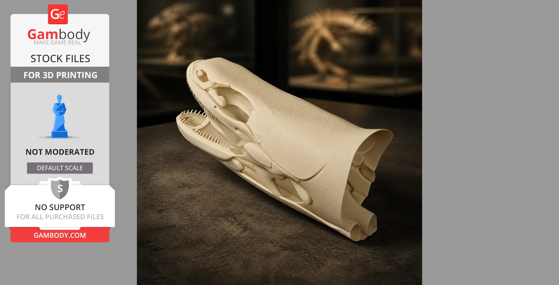 Bichir (Ornate) Skull - Skull Replica STL