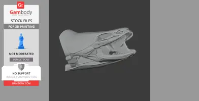 Bichir (Ornate) Skull - Skull Replica STL