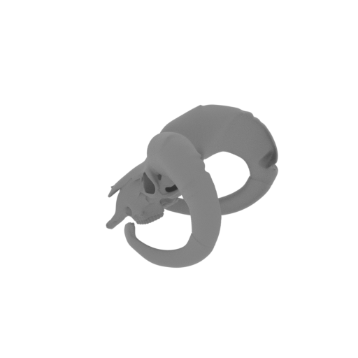Bighorn Sheep Skull.stl