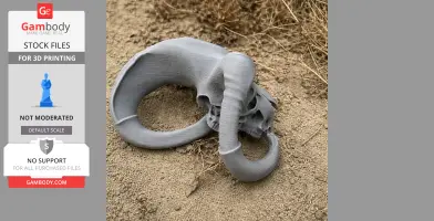 Bighorn Sheep Skull - Skull Replica STL