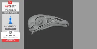 Black Vulture Skull - Skull Replica STL