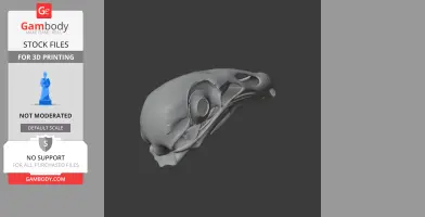Black Vulture Skull - Skull Replica STL