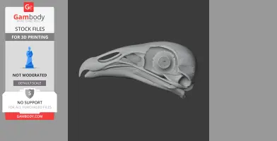 Black Vulture Skull - Skull Replica STL