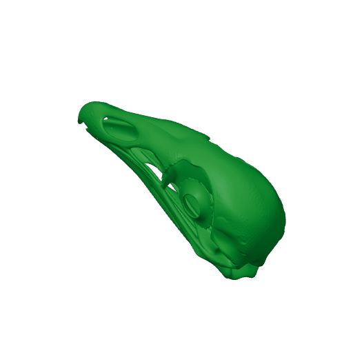 Black Vulture Skull.3mf