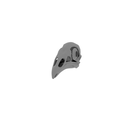 Black Vulture Skull.stl