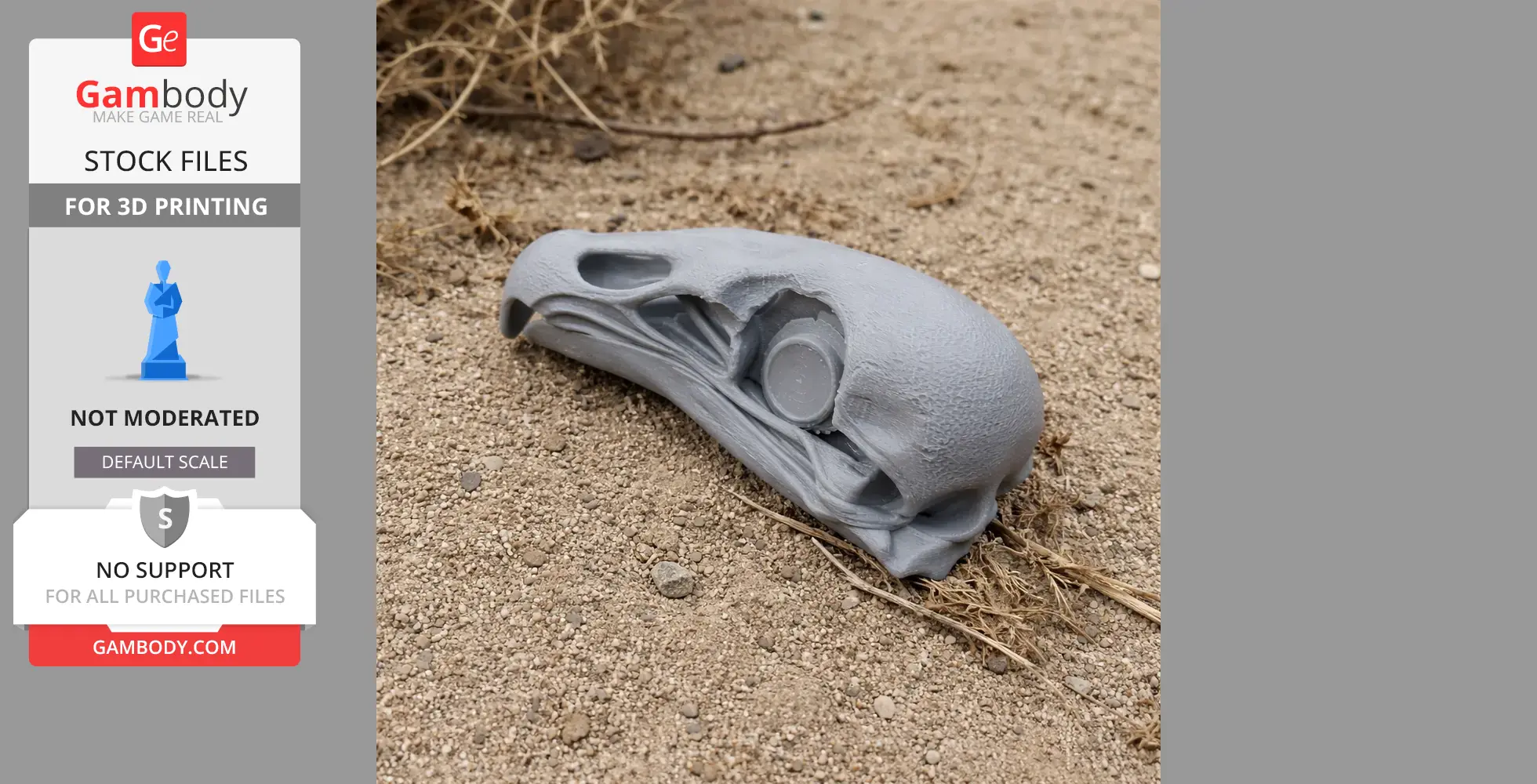 Black Vulture Skull - Skull Replica STL
