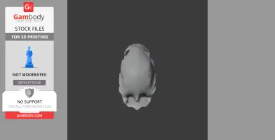 Black Vulture Skull - Skull Replica STL