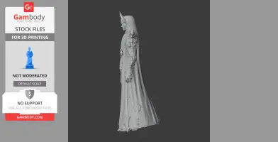A 3D model of a robed character with detailed armor and horned headpiece, viewed from the side.