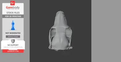 Black Wallaroo Skull - Skull Replica STL