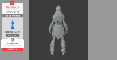Rear view of a detailed female figurine in fantasy armor, designed for 3D printing.