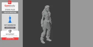 A 3D model of a warrior woman with braided hair, detailed armor, and layered clothing.