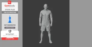 3D printable figurine of a male soccer player in uniform, standing upright.