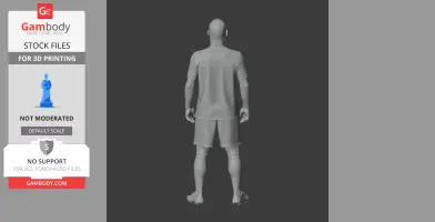 Wesley Sneijder Figurine - STL 3D Print