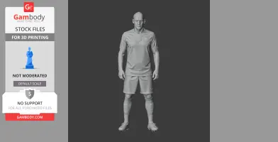 Wesley Sneijder Figurine - STL 3D Print