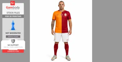Wesley Sneijder Figurine - STL 3D Print
