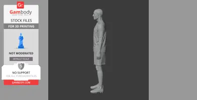 3D model of a standing soccer player in uniform and cleats, viewed from the side.