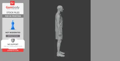 3D figurine of a male soccer player in a uniform, standing profile view, designed for 3D printing.