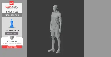 A 3D model of a soccer player in uniform and cleats, standing upright.