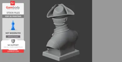 Charles XII of Sweden Bust - Historical Warrior STL