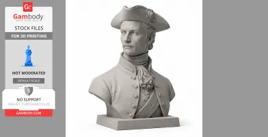 Charles XII of Sweden Bust - Historical Warrior STL