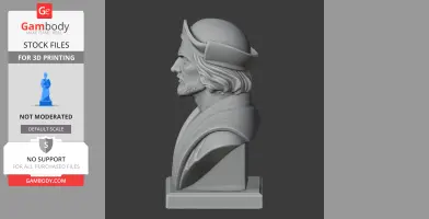 Christopher Columbus Bust - Historical Warrior STL