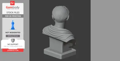 Cicero Bust - Historical Warrior STL