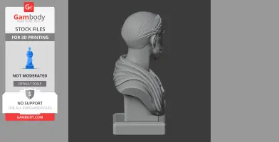 Cicero Bust - Historical Warrior STL