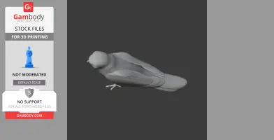 Hen Harrier - Prehistoric Animal STL