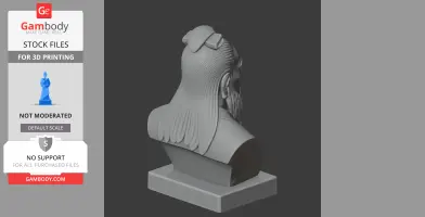 Bust of a historical warrior with long hair, detailed textures, suitable for 3D printing.