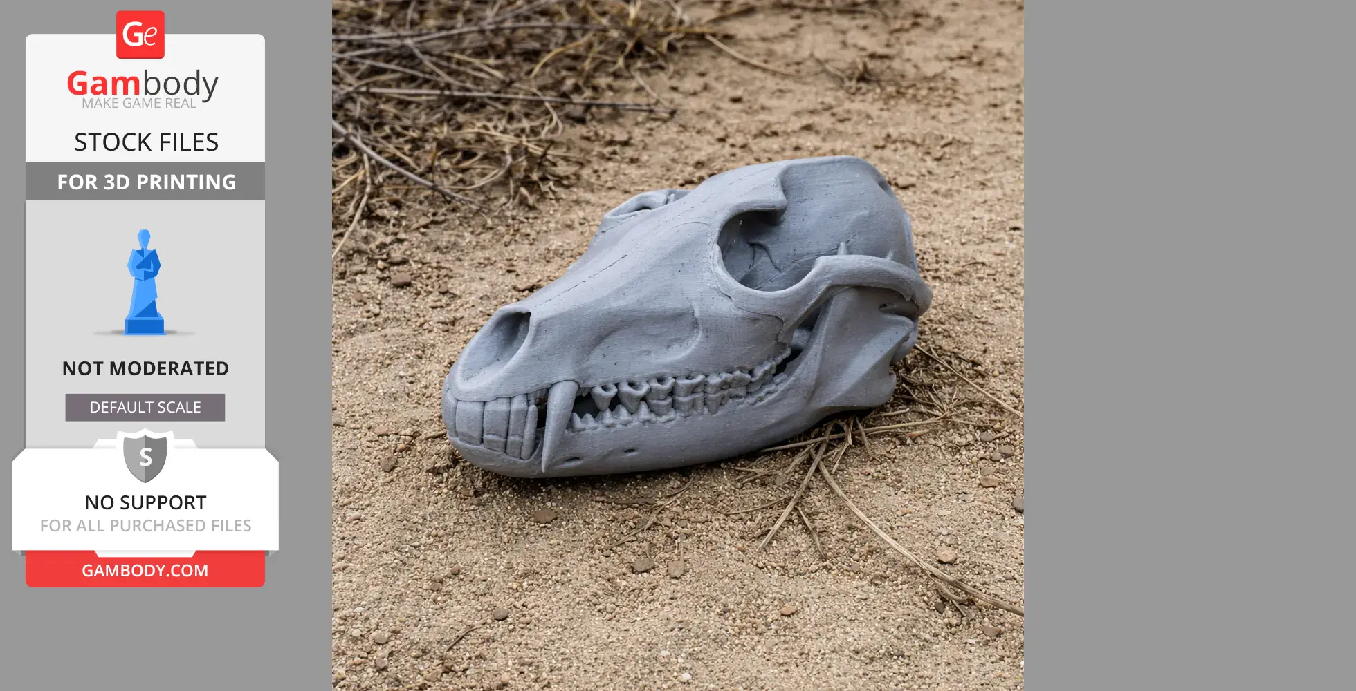 Black-backed Jackal Skull - Skull Replica STL