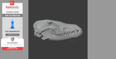 Black-backed Jackal Skull - Skull Replica STL