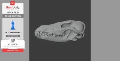 Black-backed Jackal Skull - Skull Replica STL
