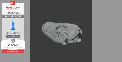 Black-backed Jackal Skull - Skull Replica STL