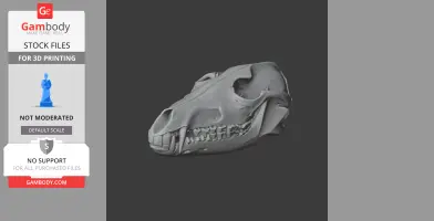 Black-backed Jackal Skull - Skull Replica STL