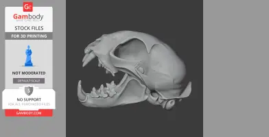 Bobcat Skull - Skull Replica STL