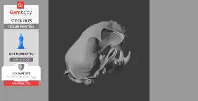 Bobcat Skull - Skull Replica STL