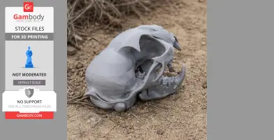Bobcat Skull - Skull Replica STL