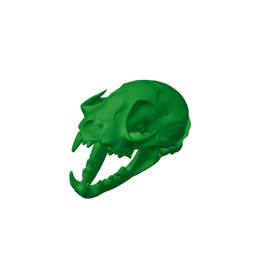 Bobcat Skull.3mf