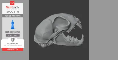 Bobcat Skull - Skull Replica STL